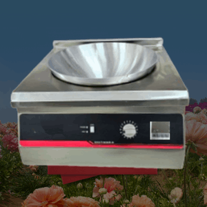 TFE-Commercial Induction Cooker
